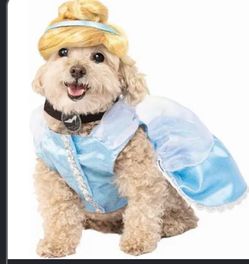 Cinderella dog costume