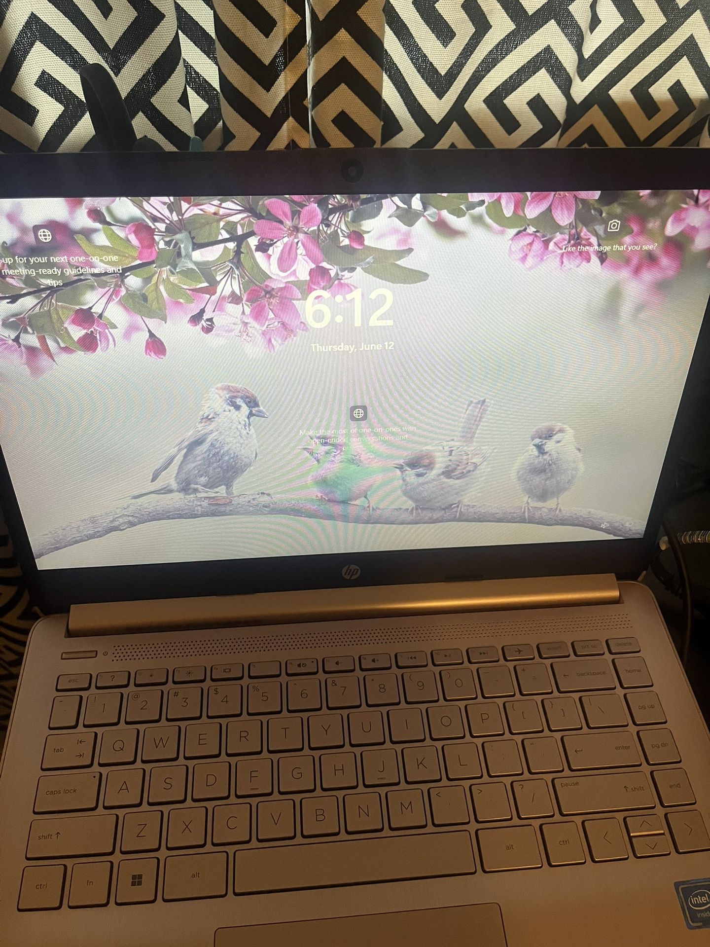 Pink HP laptop