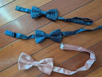 Bow ties (two blue sparkly, one pink)  $3 each tie