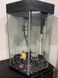 20 gallon fish tank