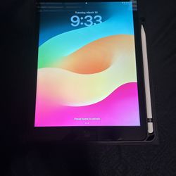 iPad 9th Generation 