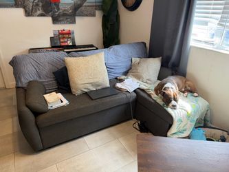 This model is the IKEA FRIHETEN Sleeper Sectional with a built-in storage chaise in Skiftebo Dark Gray