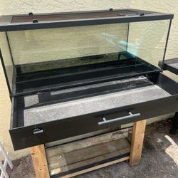 Reptile Tanks 