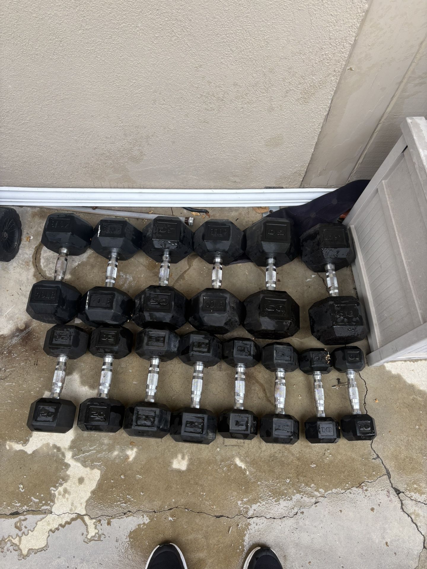Hex Dumbbell Set (25lbs)