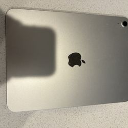 Apple iPad