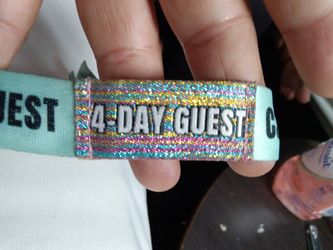 Lollapalooza C3 Guess Sunday