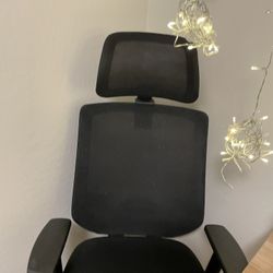 Ergonomic Office Chair