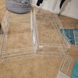 Guinea Pig Cage