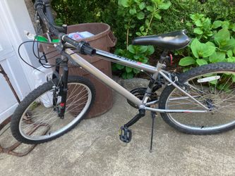 Ladies, bike OK shape by red Creek