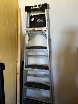 Tall Husky Ladder