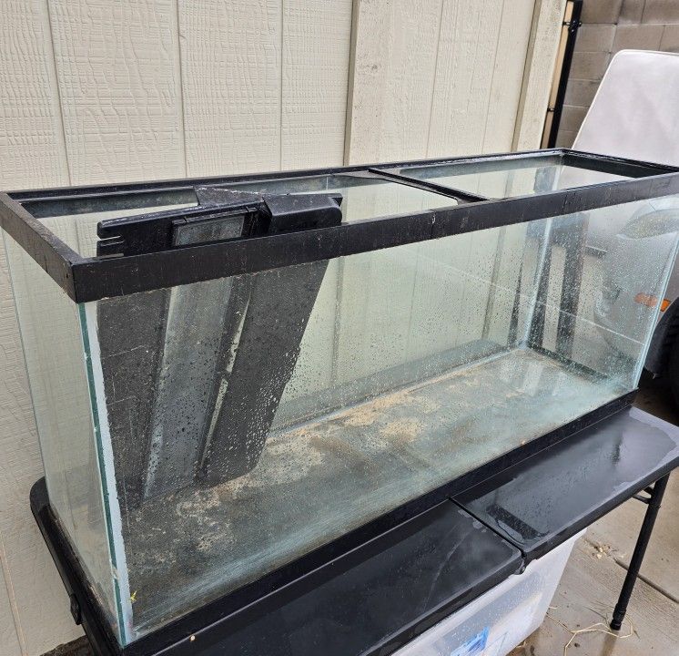 Fish Tank