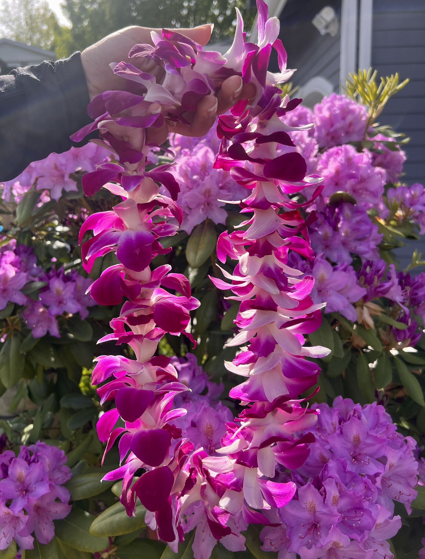 Fresh Flower Leis