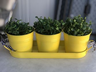 Fake plant set