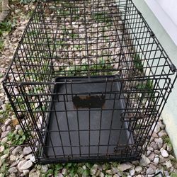 Small 24 Inch Dog Crate Cage