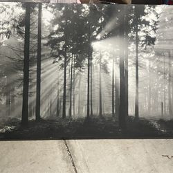 Canvas Wall Hanging - Trees 