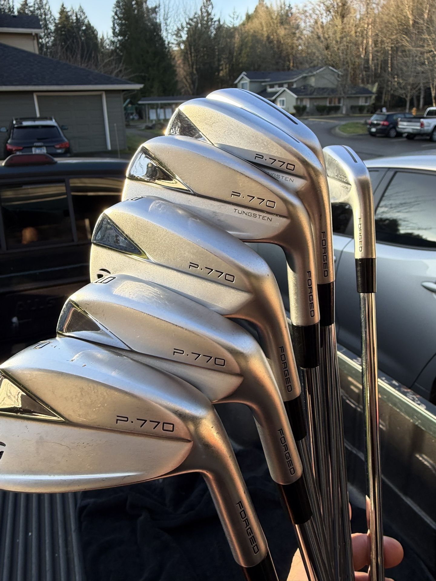 Taylormade P770 Irons