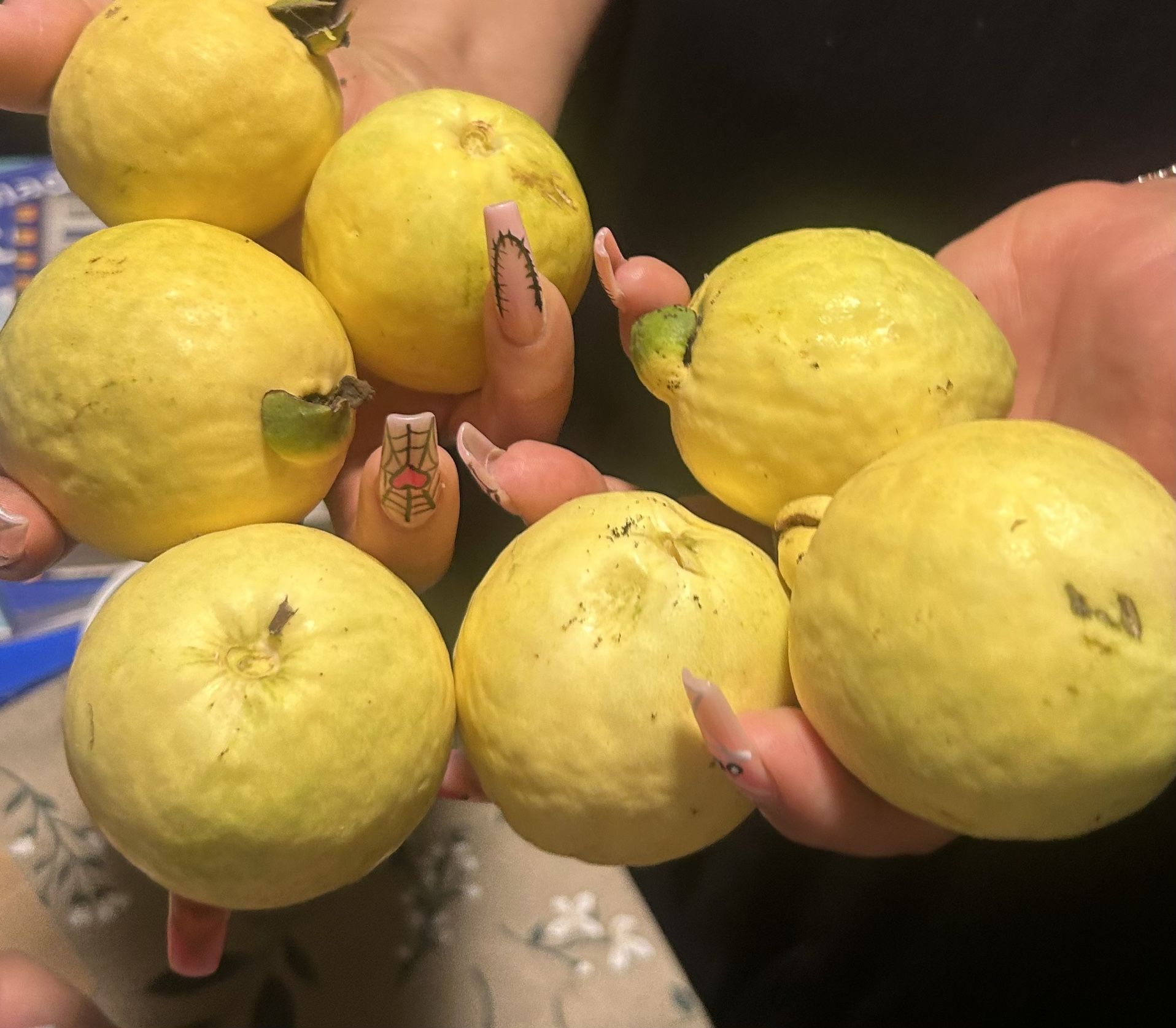 Guayabas Guavas
