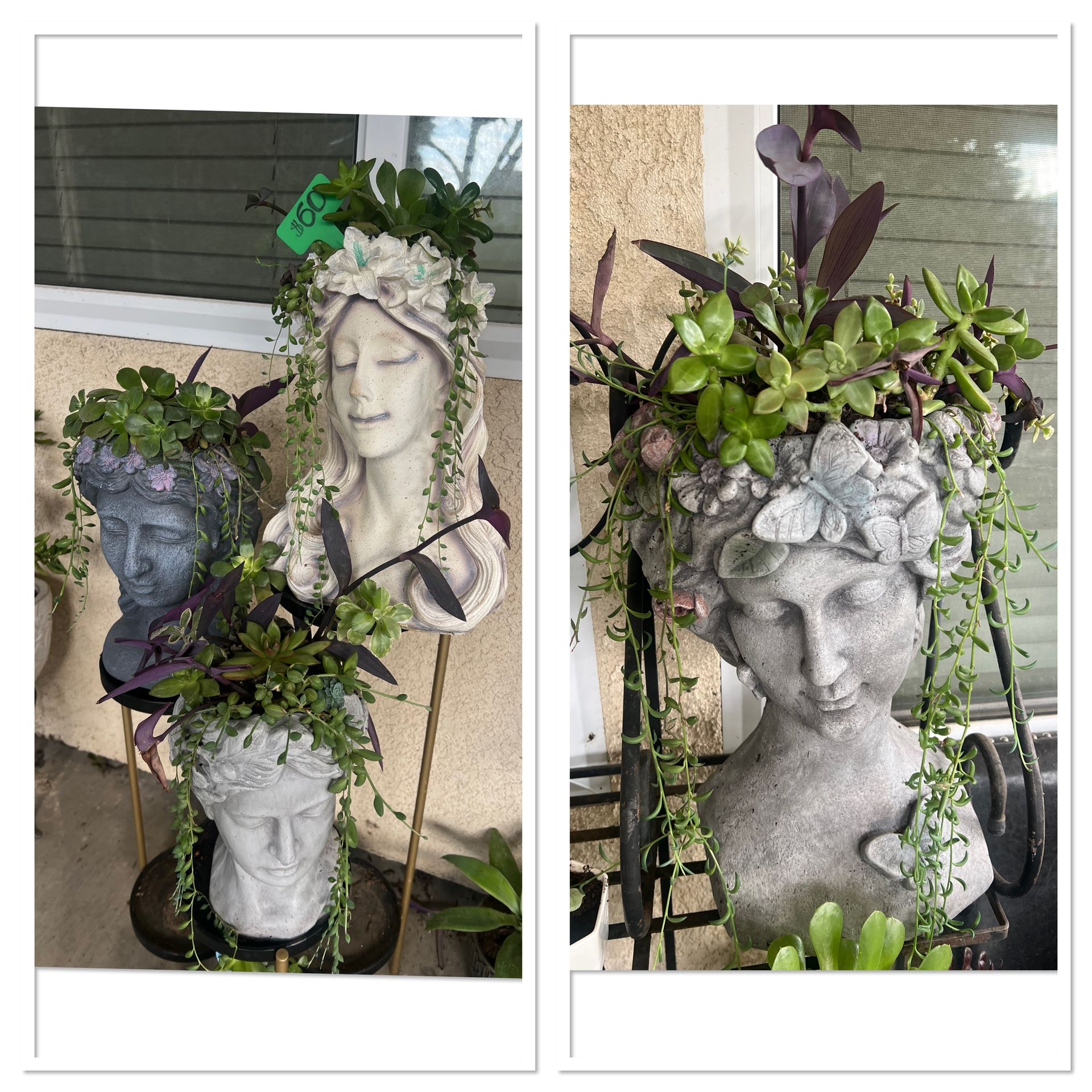 Large Succulent Planters