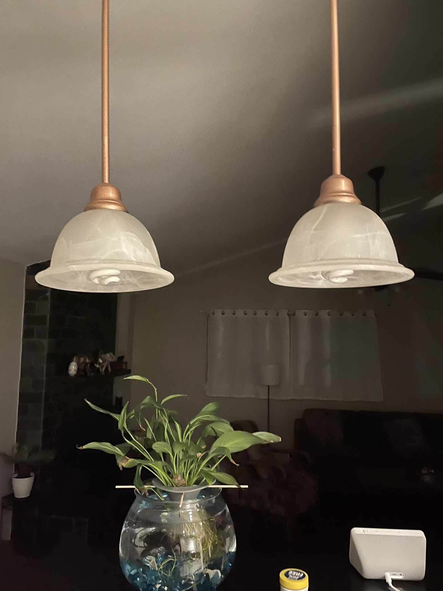 Hanging Lamp Shades