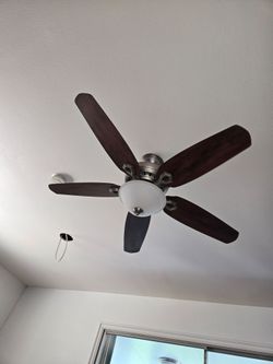 Ceiling fan