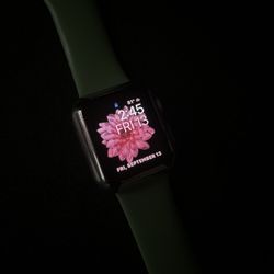 Apple Watch 