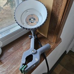 Clip On LED Light