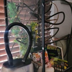 Chameleon Cage and set. EVERYTHING but the chameleon. 