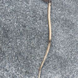 Vintage Sickle 