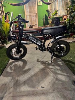 Electric bike/Bicicleta electrica