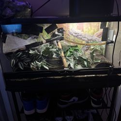 Reptile Enclosure 25 Gal 