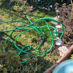 Green garden Hose 