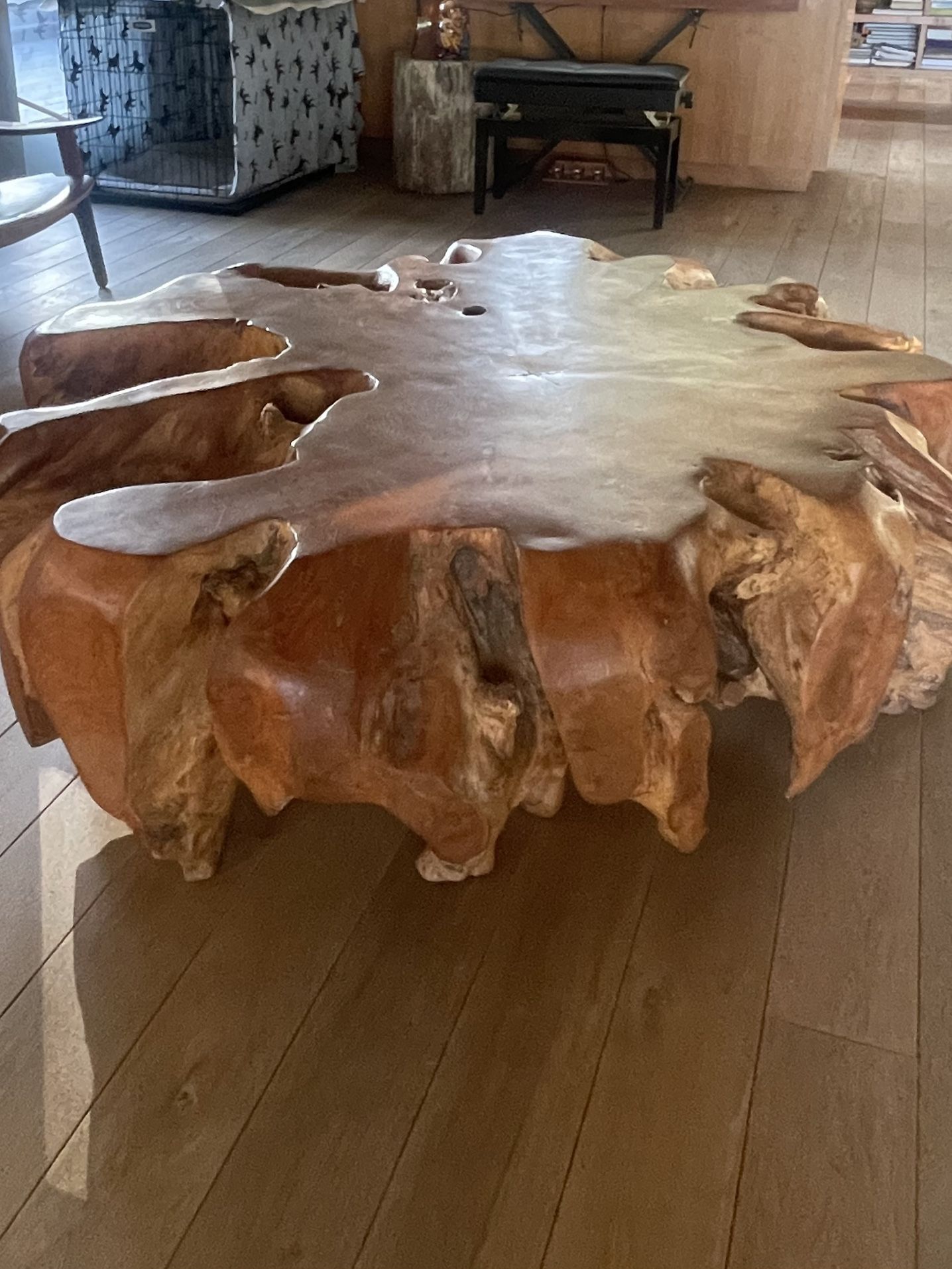 One-of-a-Kind Balinese Root Coffee Table β Sculptural Wood Art (Malibu)