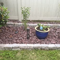 Rocks for FREE