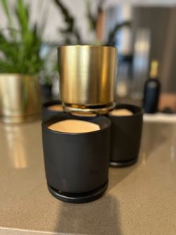 Matte Black and Gold Designer Planters