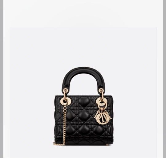 Dior Bag