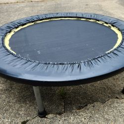 Trampoline, Military Shelf (Metal),  Stepper, Metal Stand For Sports Equipment And Gear
