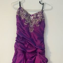 Beautiful Purple PROM /QUINCEANERA dress