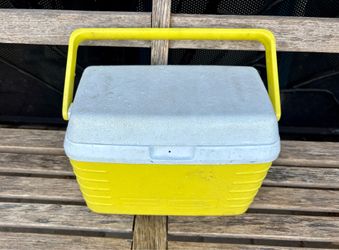 Beach cooler