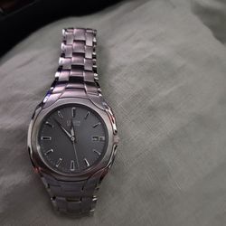 Citizen Stainless Steel Wrist Band 