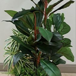 4ft Faux Red Dracaena Mix Topped with Jade Stone / Ferns / Fig Stems / Mini Dracaena @ Lasting Creations