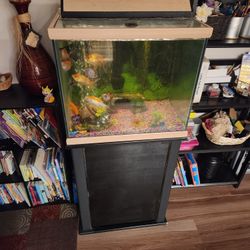 30 Gallon Fishtank And Fish Tank Stand With 10 Fish And Everything You Need