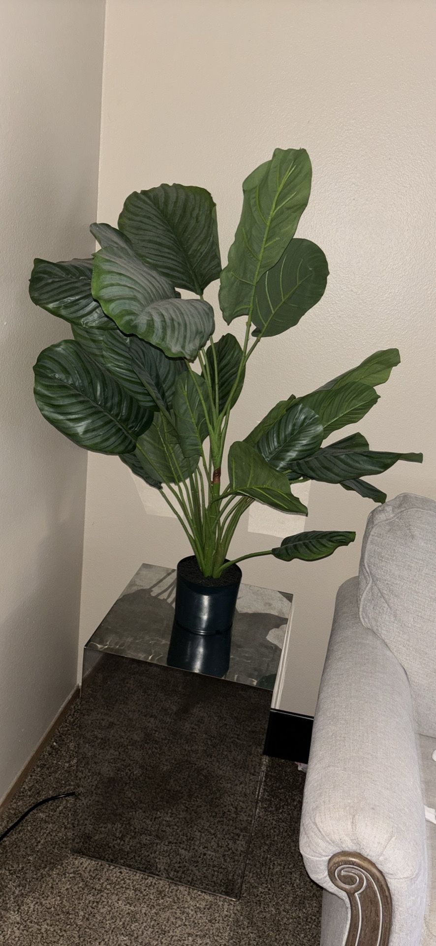 Plant For End Tables