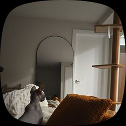 76" tall Arch Mirror
