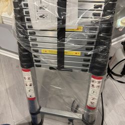 16ft Aluminum Telescopic Ladder