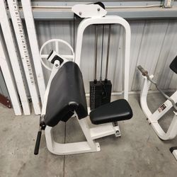 Home Gym Exercise Workout Equipment Weights 