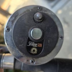 Fishing Rod And Reel