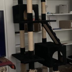 Free 75 Inch Cat Tower