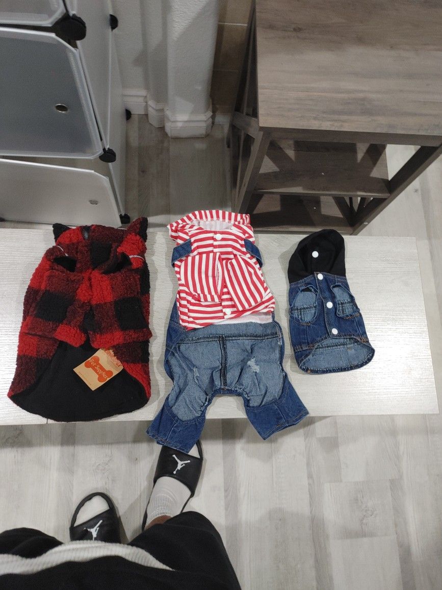 Doggy Clothes