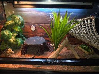 Reptile tank