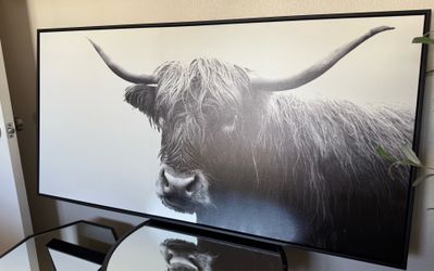 Highland cow framed print originally from target